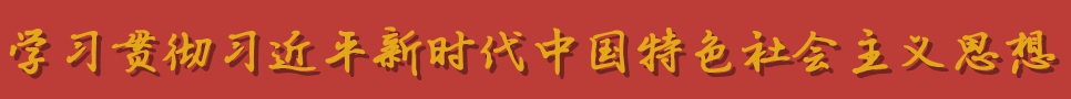 学习贯彻习近平新时代中国特色社会主义思想